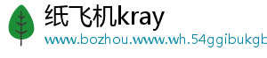 纸飞机kray